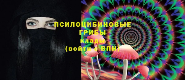бошки Сатка
