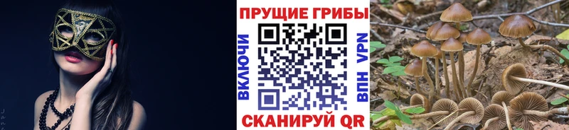 продажа наркотиков  Спасск-Дальний  Галлюциногенные грибы прущие грибы 